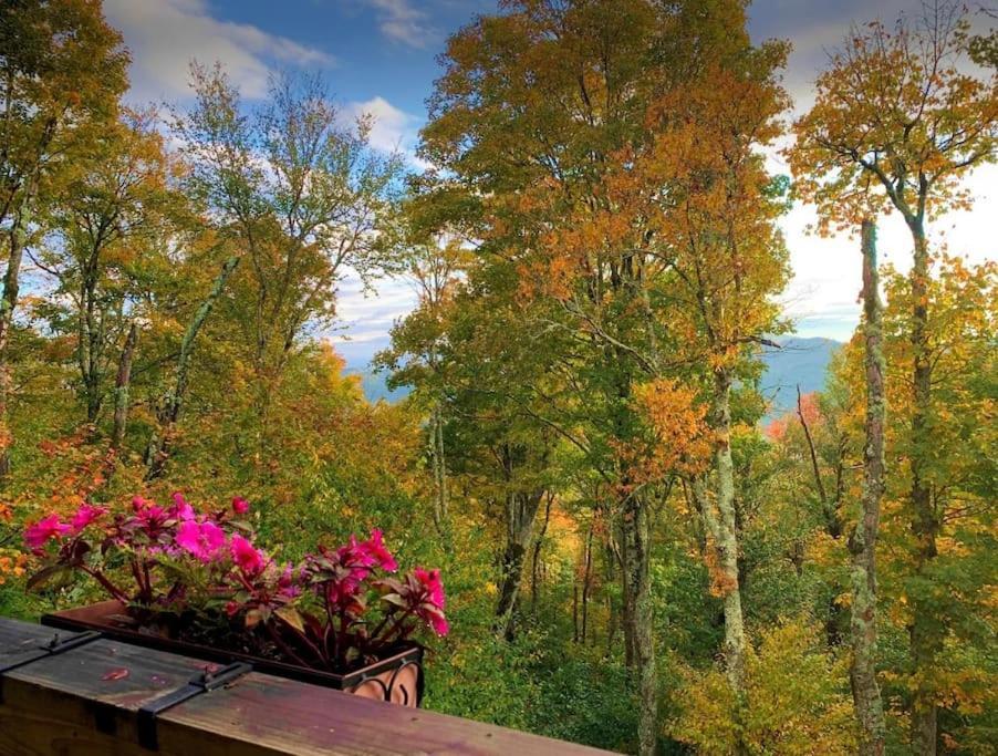 Appresski - 5 Bed Ski In Ski Out - 50 Steps To Ski Sugar Mountain Slopes Экстерьер фото